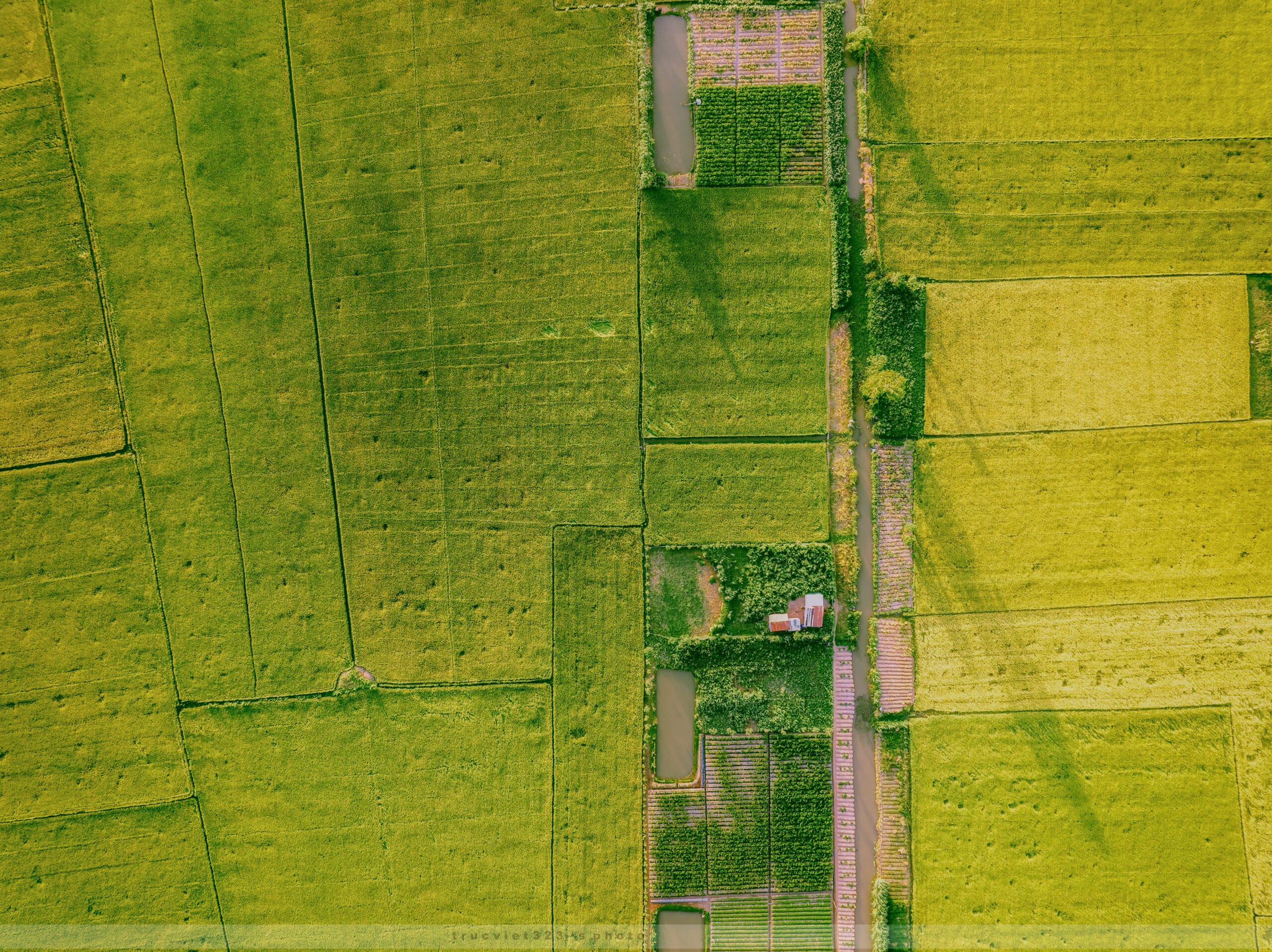 Ảnh đẹp Gò Công