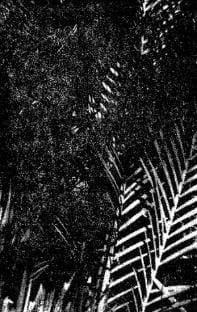 Gò Công Xưa – Di tích lịch sử