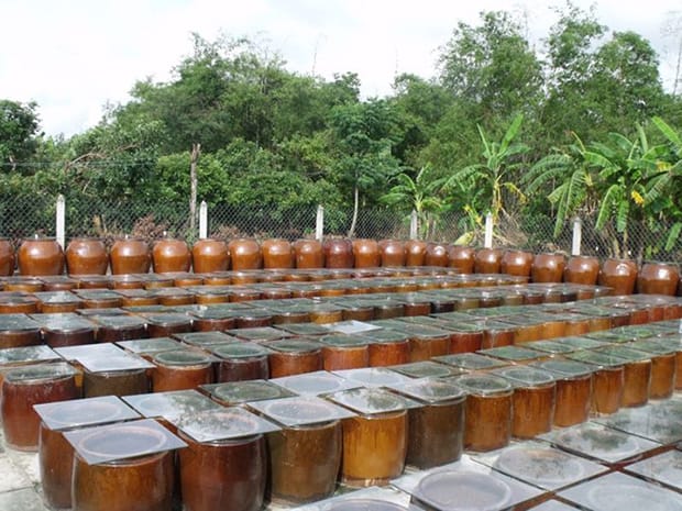 Nước Tương Dưỡng Sinh Tamari Nguyên Dương