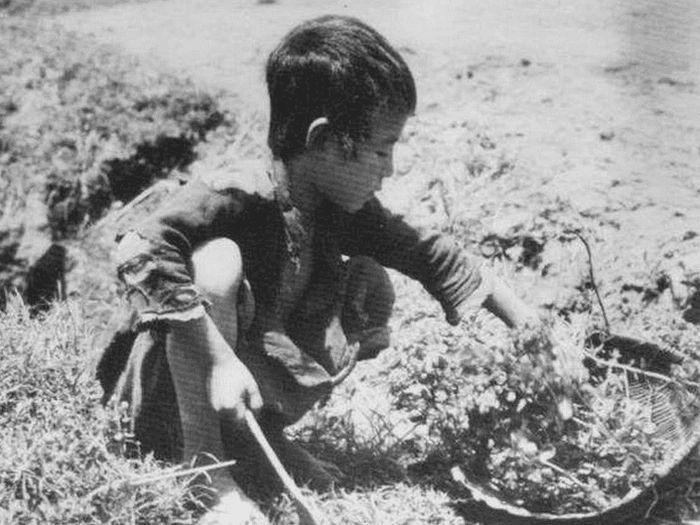 Gò Công Xưa – Gò Công Với Nạn Bạch Đồng, Suốt Năm Không Có Hột Mưa (Năm 1906 Bính-Thìn)