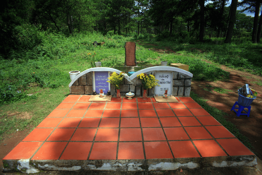 Đồi thông hai mộ – Và câu chuyện tình buồn của chàng trai xứ Gò