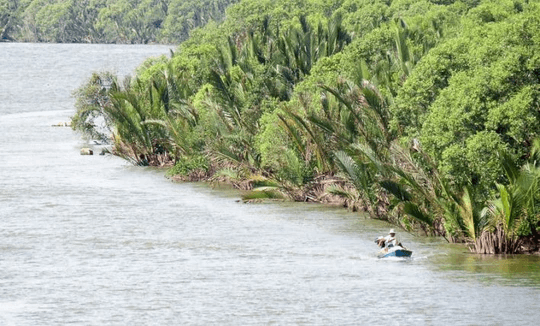 Gò Công Xưa – Đám Lá Tối Trời Nơi Âm Binh Xuất Hiện